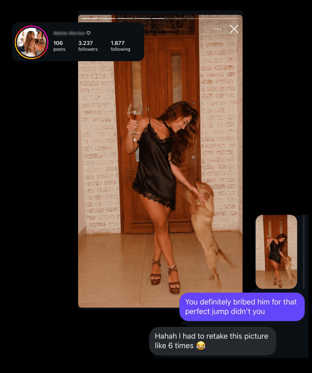 Instagram Story Reply